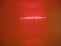 Dan Flavin